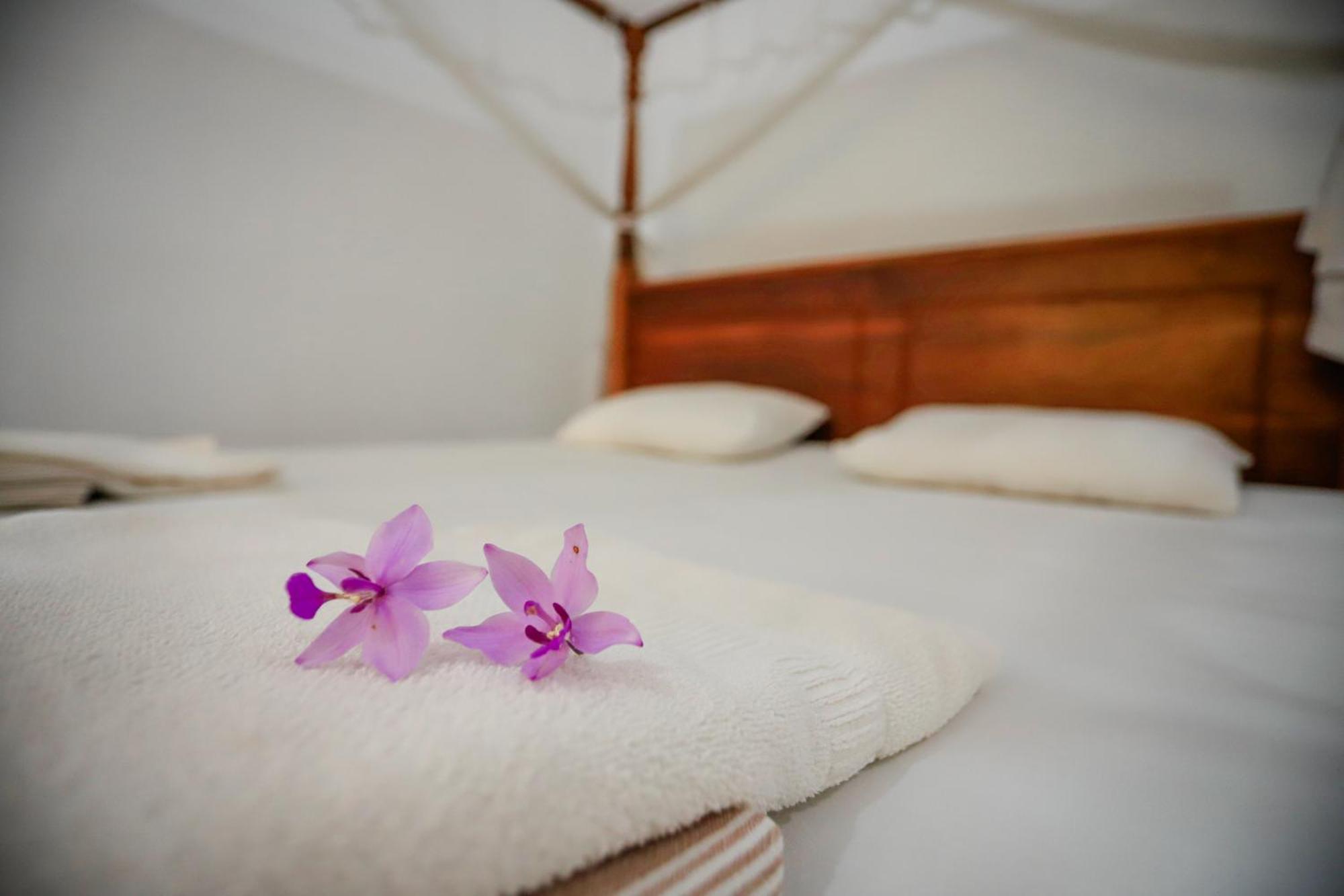 Serene Home Stay Udawalawe Zewnętrze zdjęcie