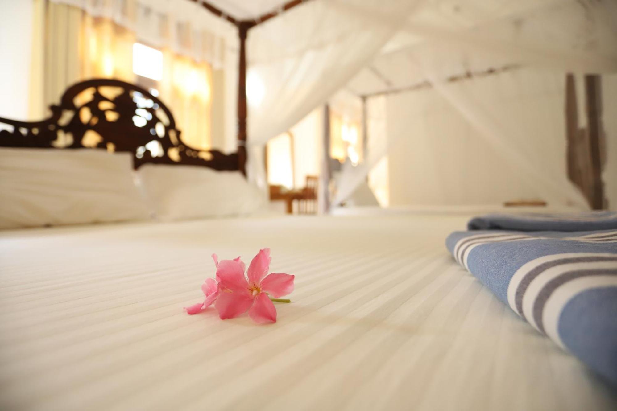 Serene Home Stay Udawalawe Zewnętrze zdjęcie